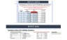 Project Manager Financial Feasibility Model - Excel Template