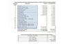 Project Manager Financial Feasibility Model - Excel Template