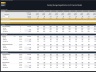 Floating Storage Regasification Unit - Project Finance Model