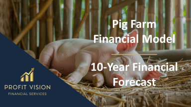 Pig Farm – 10 Year Financial Model