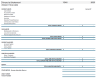 Startup Budget & Monthly Finance Tracker | Financial Statement Template with Graphs