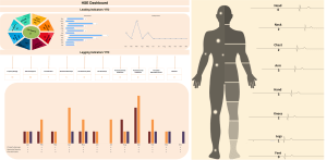 HSE Dashboard V15.0