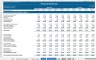 Financial Model with Highly Sophisticated DCF Valuation, Sensitivity and Financial Analysis