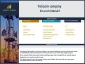 Telecom Company - 10 Year Financial Model