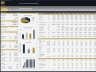 Telecom Company - 10 Year Financial Model