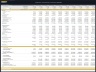 Telecom Company - 10 Year Financial Model