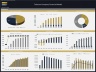 Telecom Company - 10 Year Financial Model
