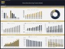 Shoes Production Factory - Dynamic 10 Year Financial Model
