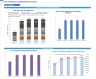 Solar Installation and Maintenance Services Monthly 5-Year Financial Forecast Model