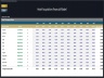 Hotel Acquisition Financial Model