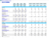 Mobile Car Detailing Financial Forecast Model