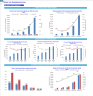 Mobile Car Detailing Financial Forecast Model