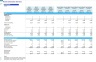 Home Automation Services Financial Forecast Model