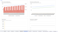 Runway and Cash Budget Template for Excel and Google Sheets - Eloquens