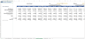 Professional Services Financial Model