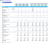 Self-Service Laundromats (Laundry) Financial Forecast Model