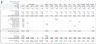 Agrotech Services Financial Model Template