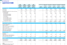 Accounting Firm  Financial Forecast Model