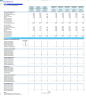 Accounting Firm  Financial Forecast Model