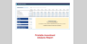 IRR and NPV Calculator Google Sheets Template | Investment Analysis Tool | Financial Decision Making Dashboard