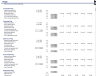 Project Finance Modeling Template - Inputs, Timing, and Checks