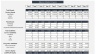 Service Provider APP (Uber-like) Business & Financial Model 10 years