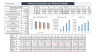 Apartment Block Acquisition / Valuation Model - 20 year Three Statement Analysis