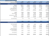 Primary Care Clinic Financial Model