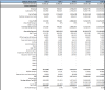 B2B SaaS Financial Model