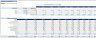Short-Term Rental Financial Model (10 Year Financial Forecast)