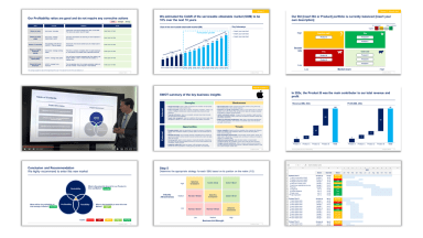 Corporate/Business Strategy and Strategic Planning Toolkit