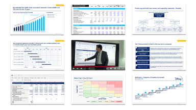 Management Consulting Toolkit