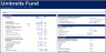 Single-Asset Private Equity Waterfall Model