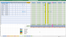 MS Excel, tracking project month, weekly financials incl. contracted work, forecasts, actuals, variance, expenses, pivot