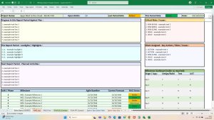 Microsoft Excel Editable Weekly Status Report (internal external reporting) including Plan on a Page and RAIDs log etc.