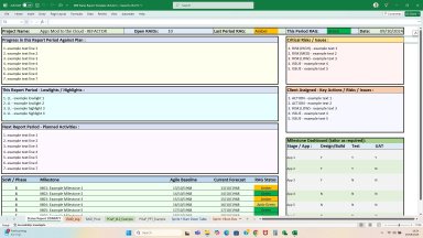 Microsoft Excel Editable Weekly Status Report (internal external reporting) including Plan on a Page and RAIDs log etc.