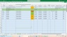 Microsoft Excel Editable Weekly Status Report (internal external reporting) including Plan on a Page and RAIDs log etc.