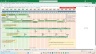 Microsoft Excel Editable Weekly Status Report (internal external reporting) including Plan on a Page and RAIDs log etc.