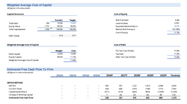 Discounted Cash Flow financial model (DCF) for BLS International