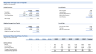 Discounted Cash Flow financial model (DCF) for BLS International
