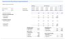 Discounted Cash Flow financial model (DCF) for BLS International