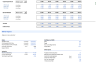 Discounted Cash Flow financial model (DCF) for BLS International