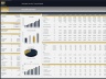 Helicopter Services Company – 10 Year Financial Model