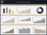 Helicopter Services Company – 10 Year Financial Model