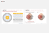 Venture Building Frameworks Templates Bundle