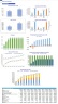 Resort Acquisition & Renovation Financial Model