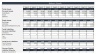Startup Business Financial Model & Plan - 10 Year Three Statement Analysis (Any Type of Business)