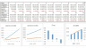 Hotel / Guesthouse Valuation Model and Financial Statements 20 years