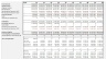 Hotel / Guesthouse Valuation Model and Financial Statements 20 years