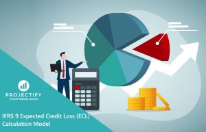 IFRS 9 Expected Credit Loss (ECL) Calculation Model
